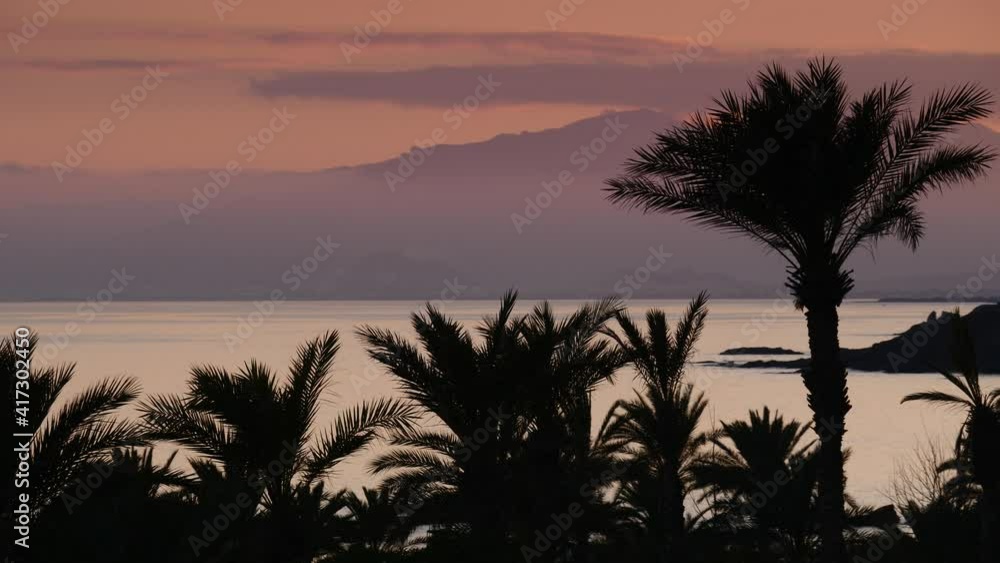 Coast sea shore with palm trees against evening sky. Spanish nature landscape at sunset. Coast sea shore with palm trees against evening sky. Spanish nature landscape at sunset.