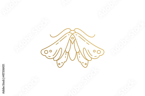 Wild moth silhouette elegant linear vector illustration.