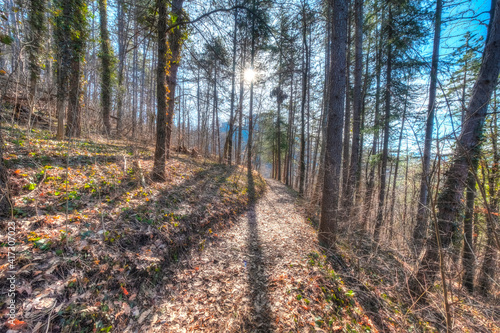 Seen of the woods surrounding Zavattarello, small village in the hilly area of Oltrepo Pavese, between Lombardy, Piedmont and Liguria regions (Northern Italy). Its famous for its medieval castle.