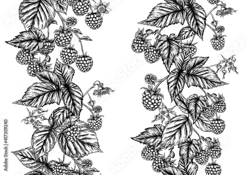 Raspberry or blackberry. Ripe berries on branch. Seamless pattern, background. Graphic drawing, engraving style. Vector illustration on black background.
