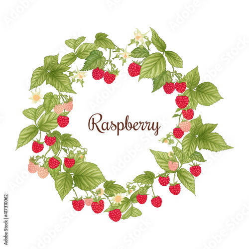 Raspberry. Ripe berries on branch. Clip art, set of elements for design Graphic drawing, engraving style. Vector illustration..