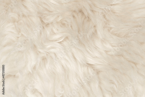 Foto Natural animal white wool seamless texture background