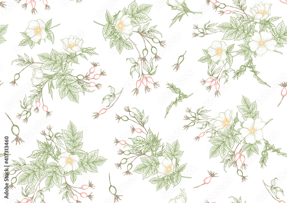 Rose hips with flowers and berries seamless pattern. Graphic drawing, engraving style. Vector illustration on white background