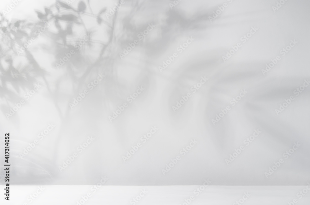 Dappled shadows of branch with leaves and sunlight on white wall and floor, sunny spring abstract background. Dappled shadows of branch with leaves and sunlight on white wall and floor, sunny spring abstract background.