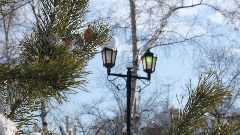 Street lamp covered snow under blue sky , black silhouettes of tree branches , street lamp post with cross structure. Sunny frosty winter day Street lamp covered snow under blue sky , black silhouettes of tree branches , street lamp post with cross structure. Sunny frosty winter day