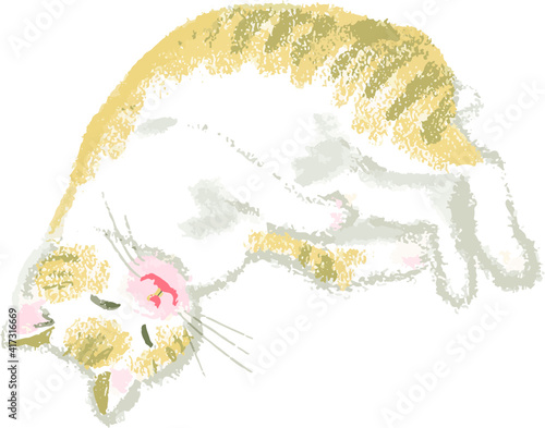 眠る猫