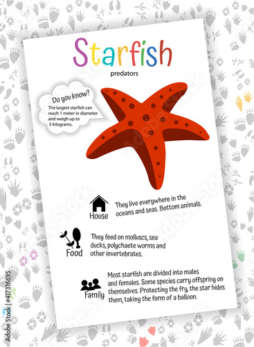 Starfish. Educational card for children. Worksheet for preschoolers. Interesting facts, habitat, nutrition, zoology.