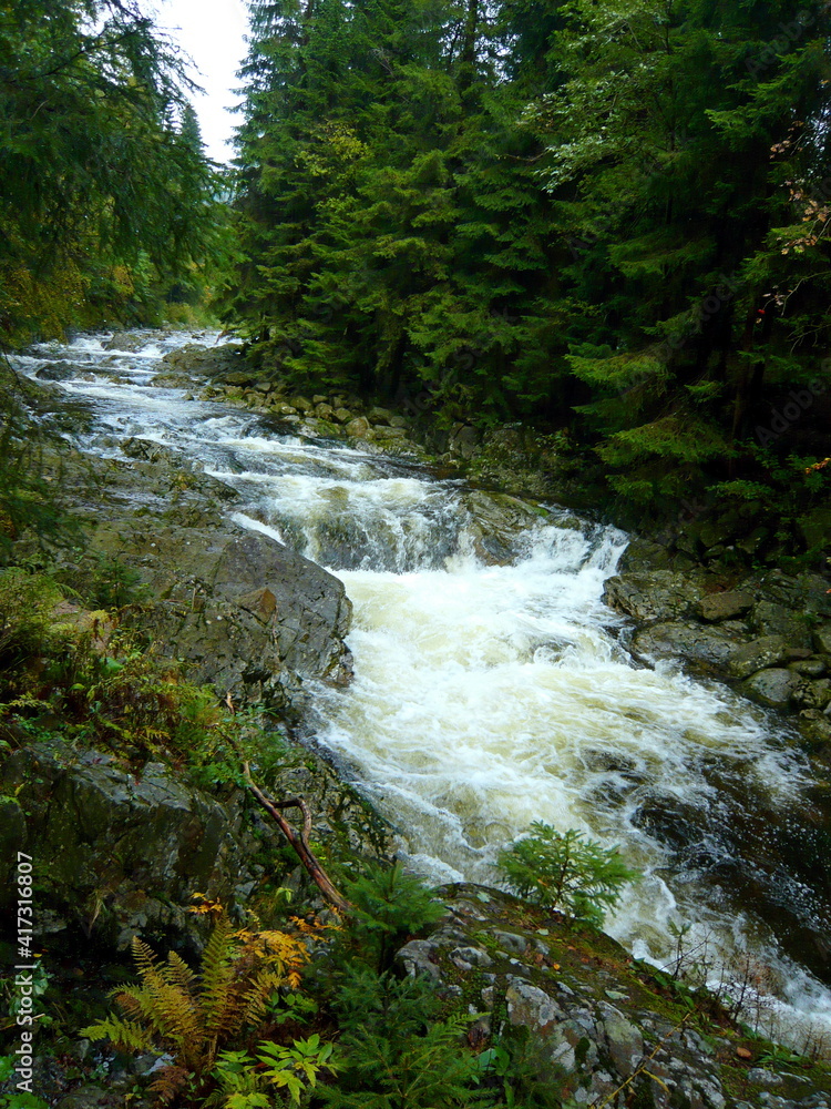 Fototapeta premium Czech Republic - view of the rapids on the river Elbe near the town of Spindleruv Mlyn
