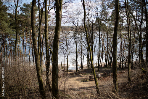 Fototapeta Naklejka Na Ścianę i Meble -  zejście od jeziora