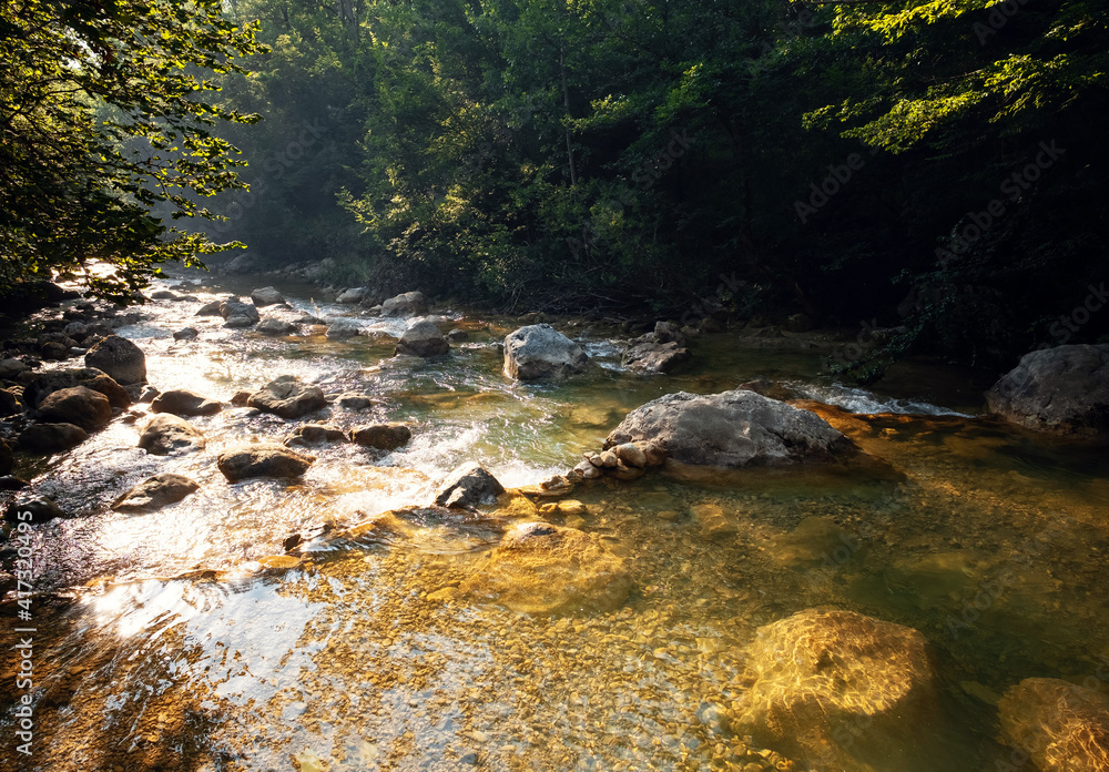 Amazing scenic view forest with river on background green trees in the morning or evening rays of the sun Amazing scenic view forest with river on background green trees in the morning or evening rays of the sun