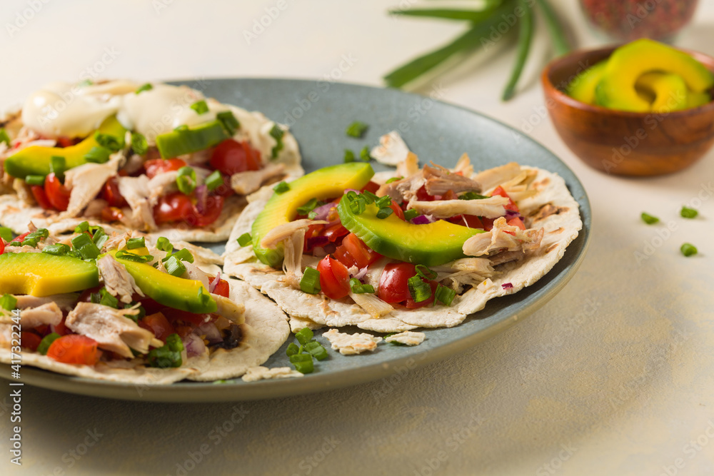 Mini tortillas with tomato salsa, avocado and boiled chicken. Front view.