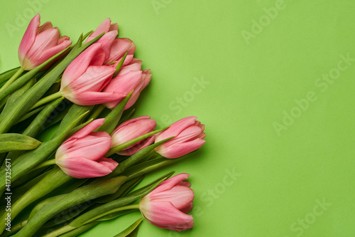 Fototapeta Naklejka Na Ścianę i Meble -  a bouquet of beautiful large pink tulips lies beautifully on a green background in the lower left corner