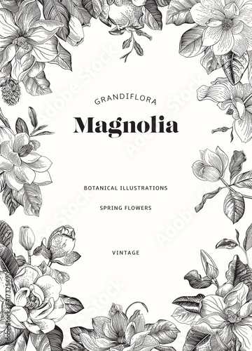 Fototapeta Naklejka Na Ścianę i Meble -  Magnolia. Spring flowers. Vector vintage botanical illustration. Invitation. Black and white
