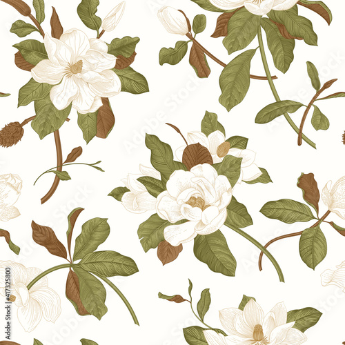 Magnolia grandiflora. Floral seamless pattern. Vector vintage botanical illustration