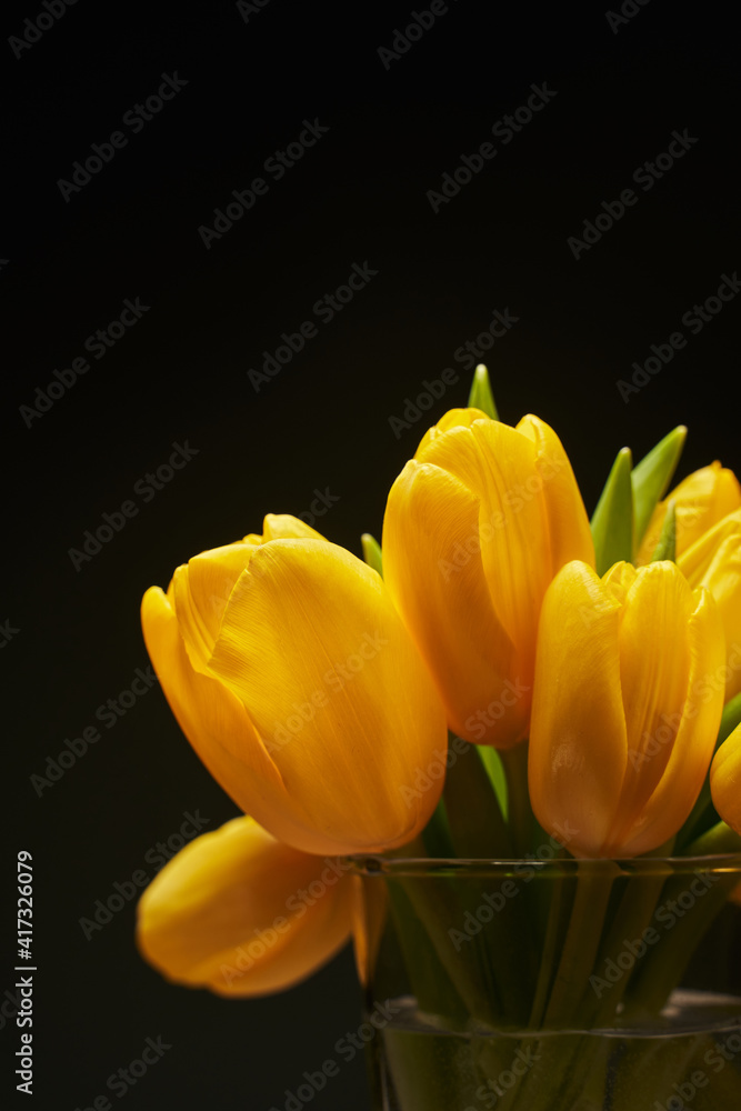 Naklejka premium large buds of yellow tulips on a black vertical background