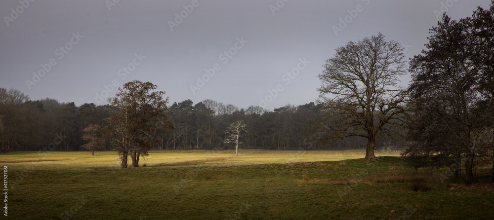 Beam of sunlight in landscape. Uffelter binenveen. Drenthe Netherlands. Beam of sunlight in landscape. Uffelter binenveen. Drenthe Netherlands.