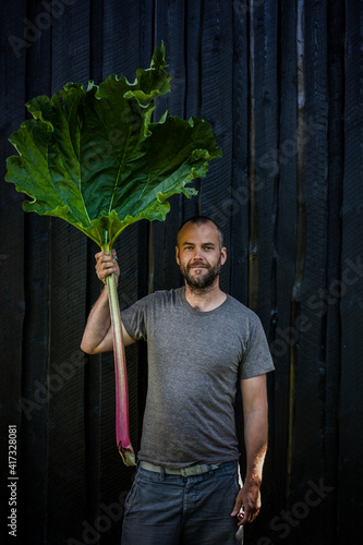 Man holding giant rhubarb leaf photo