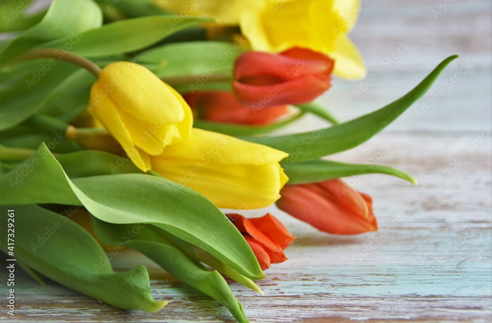 bouquet of flowers, tulips and daffodils bouquet of flowers, tulips and daffodils