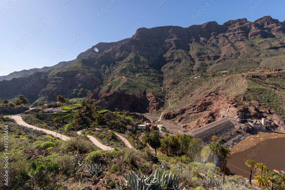 Barranco con árboles verde en el sur de Gran Canaria