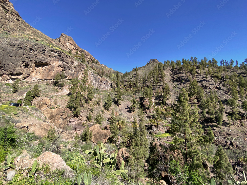 Senderos por las montañas de las islas canarias. 