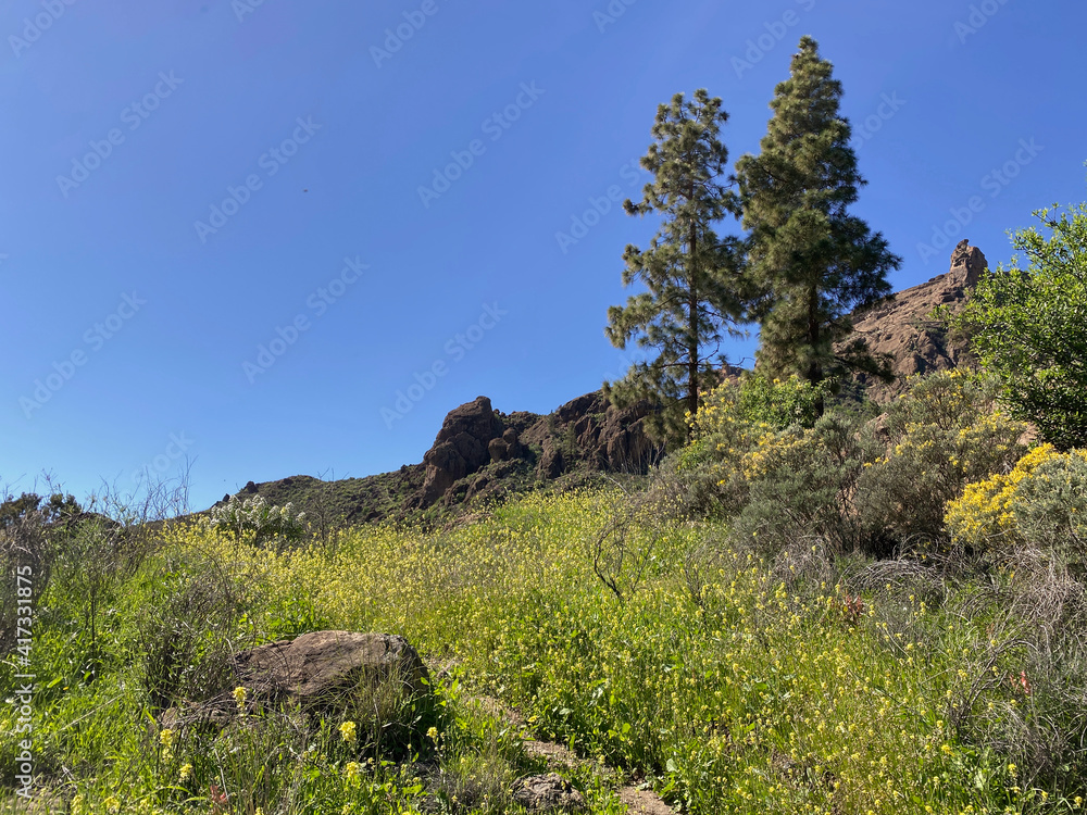 Senderos por las montañas de las islas canarias. Senderos por las montañas de las islas canarias.