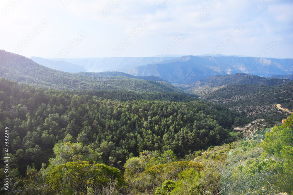 Naklejka premium landscape in the mountains