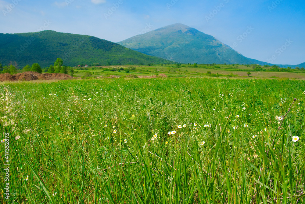 Amazing mountain view of the blooming meadow and rural road on the mountain Rtanj, Serbia
Amazing mountain view of the blooming meadow and rural road on the mountain Rtanj, Serbia
