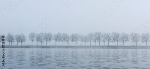line of trees in the mist along canal in the netherlands