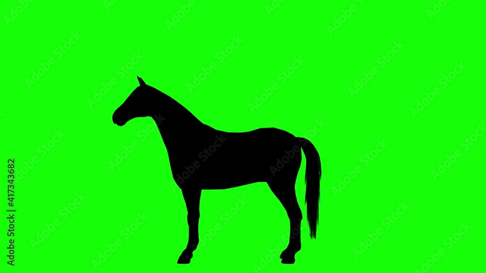 Silhouette of a horse rearing, pesade, stand up on its hind legs, on green screen, side view. Animal silhouettes seamless loop 3D animation. Silhouette of a horse rearing, pesade, stand up on its hind legs, on green screen, side view. Animal silhouettes seamless loop 3D animation.