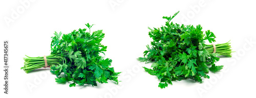 a bunch of parsley isolated on white