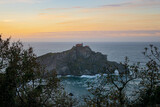 Hermitage of San Juan de Gaztelugatxe seen from afar, in a sunset surrounded by the sea, in the first place we have some branches of trees