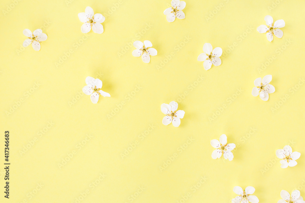 Floral pattern of white spring or summer flowers on yellow background. Copy space for your text. Flat lay style. Top view. Floral background. Pattern of flower buds.