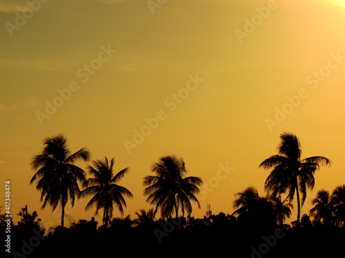 view of coconut tree silhouette with orange sky at sunset © srckomkrit