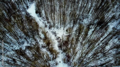 Aerial birds eye view 100m 328ft in the air pan back over 2 people walking leisurly on snow covered curvy path in winter and a third person walks over to meet up and walk thru the thick forest 2-3 photo