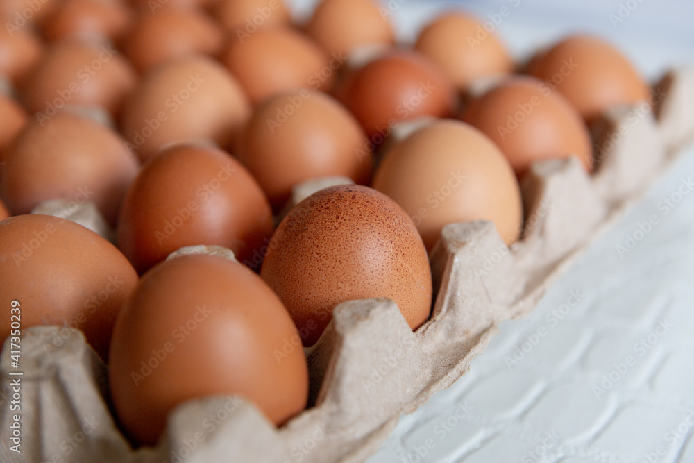 Cell of brown chicken eggs Cell of brown chicken eggs