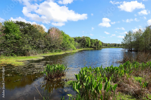 Green Cay Nature Center and Wetland, a beautiful 100 acres constructed wetlands located in Boynton Beach, Florida, USA.