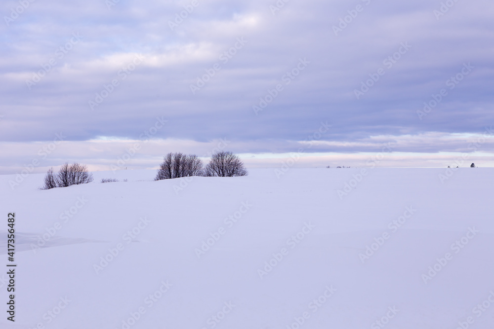 Minimalist landscape of snowy field with top of bare trees seen during an early cloudy winter morning, Island of Orleans, Quebec, Canada Minimalist landscape of snowy field with top of bare trees seen during an early cloudy winter morning, Island of Orleans, Quebec, Canada