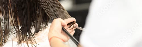 Obraz Hairdresser holds client's wet hair and cuts it. Training profession hairdresser concept