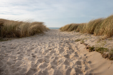 Foto auf Acrylglas Nordsee Sandweg an einem sonnigen Wintertag zwischen den Dünen auf der Watteninsel Texel, Niederlande  © Hulshofpictures