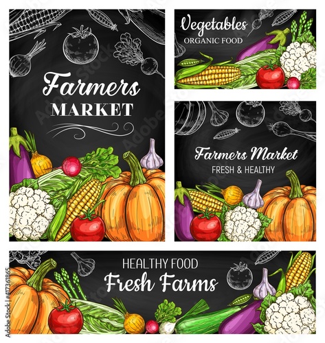 Farm vegetable chalkboard banners with vector sketches of fresh garden veggie food. Ripe tomato, napa cabbage, onion and garlic, zucchini, asparagus, cauliflower and pumpkin hand drawn blackboard