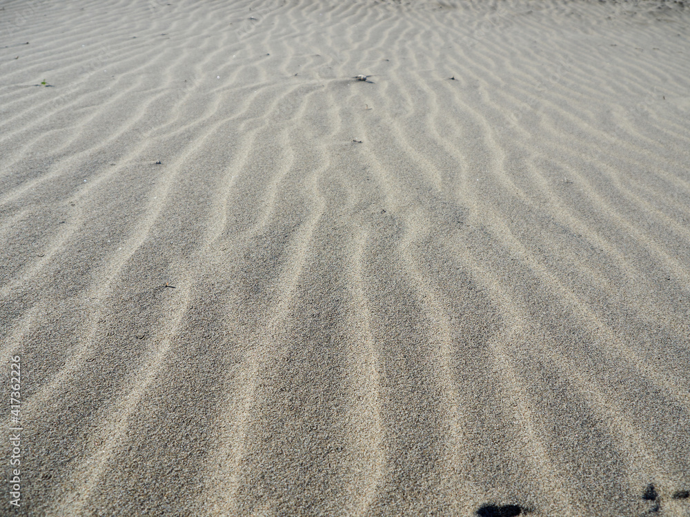 Sand texture. Sandy beach as a background. Top view