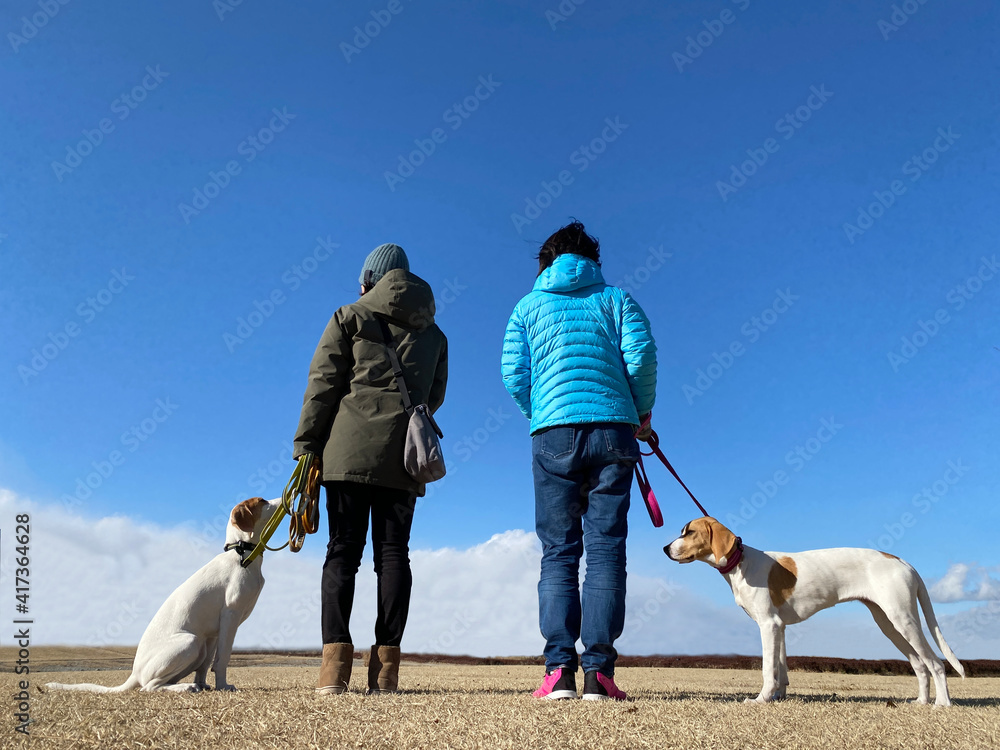 犬の散歩をする二人の女性後ろ姿 青空背景 Stock Photo Adobe Stock 犬の散歩をする二人の女性後ろ姿 青空背景 Stock Photo Adobe Stock
