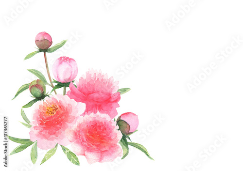 Watercolor pink peonies flowers and buds bouquet