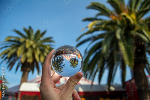 Different point of view of the palm trees