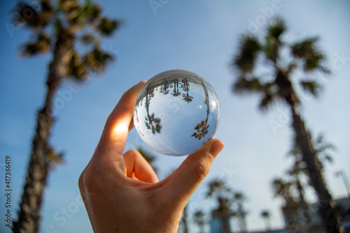 Different point of view of the palm trees