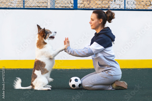 Valokuva Give me a five-dog presses a paw to the girls hand on the playground