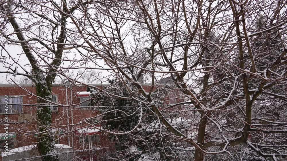 Urban Landscape View of a Snow-Covered Backyard Urban Landscape View of a Snow-Covered Backyard