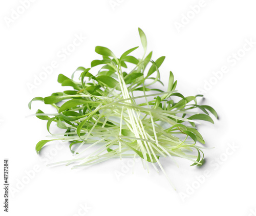 Pile of fresh microgreen isolated on white