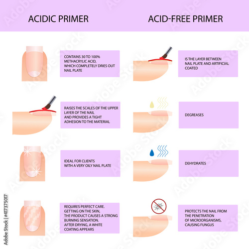 Acidic and acid-free primer. Professional manicure guide, Vector illustration, infographics