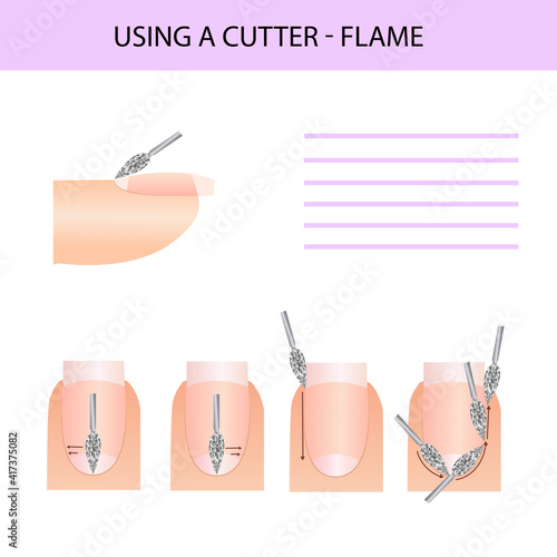Correct use of the cutter. Professional manicure guide, Vector illustration, infographics
